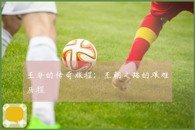 王非的传奇旅程：王朝之路的艰难历程