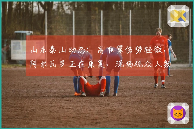 山东泰山动态：高准翼伤势轻微，阿尔瓦罗正在康复，现场观众人数达到45069。