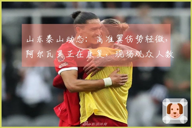 山东泰山动态：高准翼伤势轻微，阿尔瓦罗正在康复，现场观众人数达到45069。